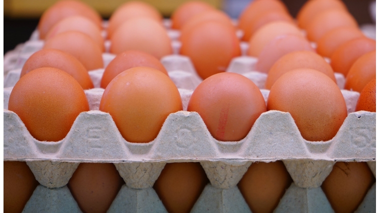 Наметилась тенденция снижения цен на яйцо