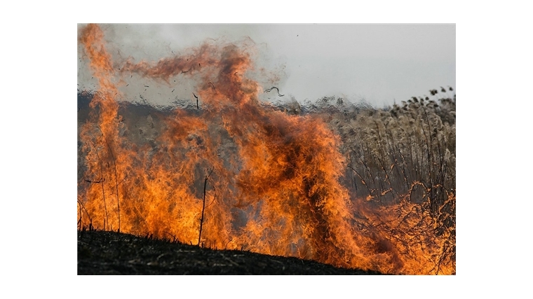 ГКЧС Чувашии напоминает: сжигание сухой травы может привести к пожару