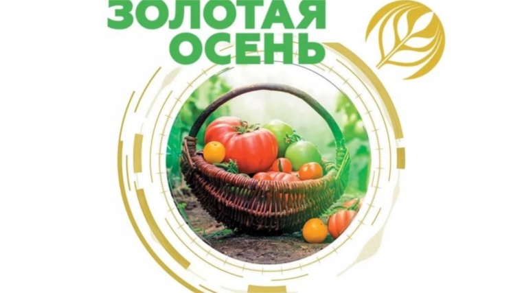 Аграрии Чувашии готовятся к "Золотой осени"