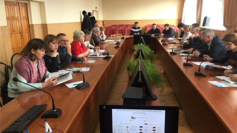 15 ноября в Комсомольском районе прошел обучающий семинар Центра компетенций