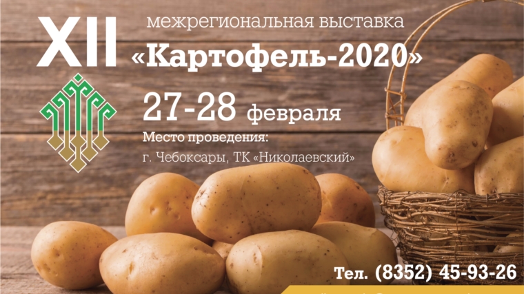 27 февраля откроется 12-я Межрегиональная отраслевая выставка «Картофель – 2020»