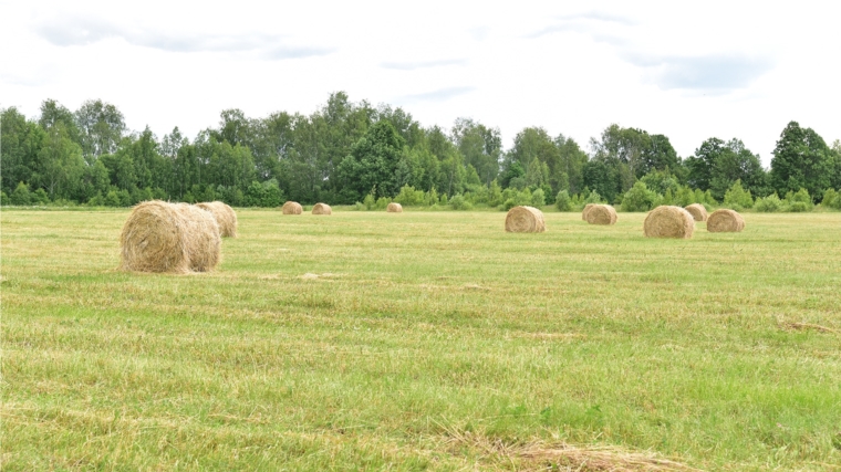 Чувашская Республика вышла на первое место в России по экспорту сена