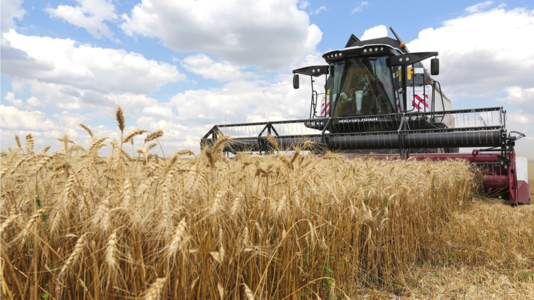 Все муниципальные округа Чувашии вышли на уборку урожая зерновых