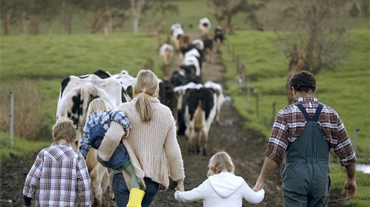 Грант на развитие семейной фермы - одна из популярных мер господдержки