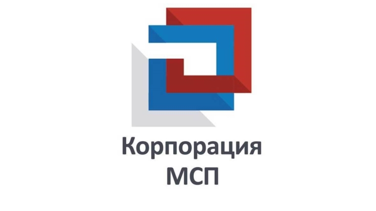В России появился центр консультирования МСП по вопросам участия в закупках по 223-ФЗ