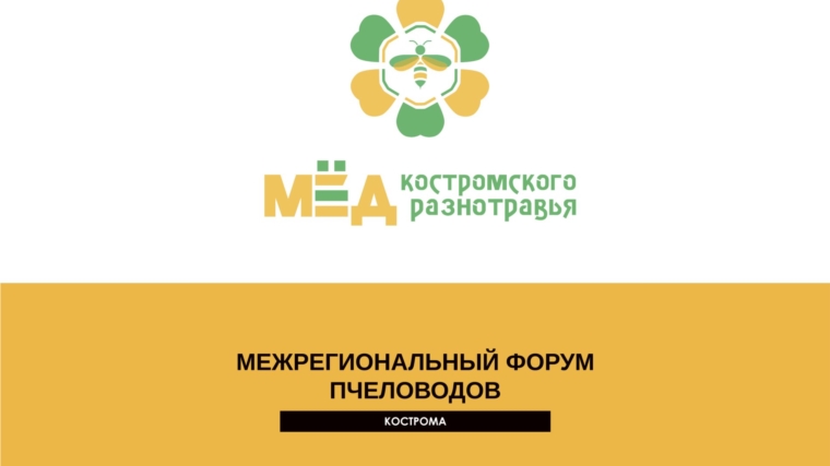 В Костроме пройдет IV Межрегиональный форум пчеловодов