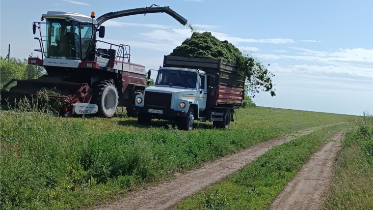 В хозяйствах республики продолжается заготовка кормов