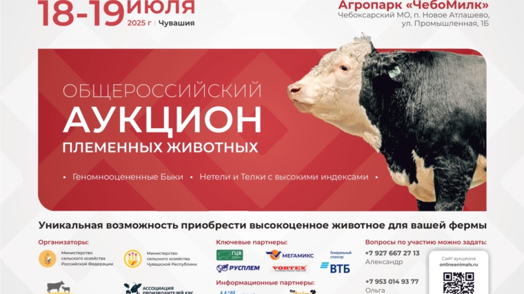 18-19 июля: Чувашия принимает II Общероссийский аукцион племенных животных
